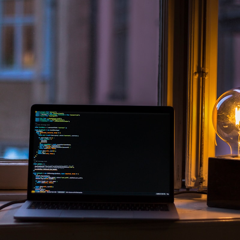 Software development