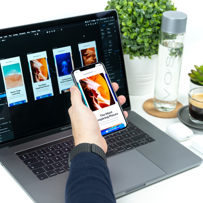 Web development
